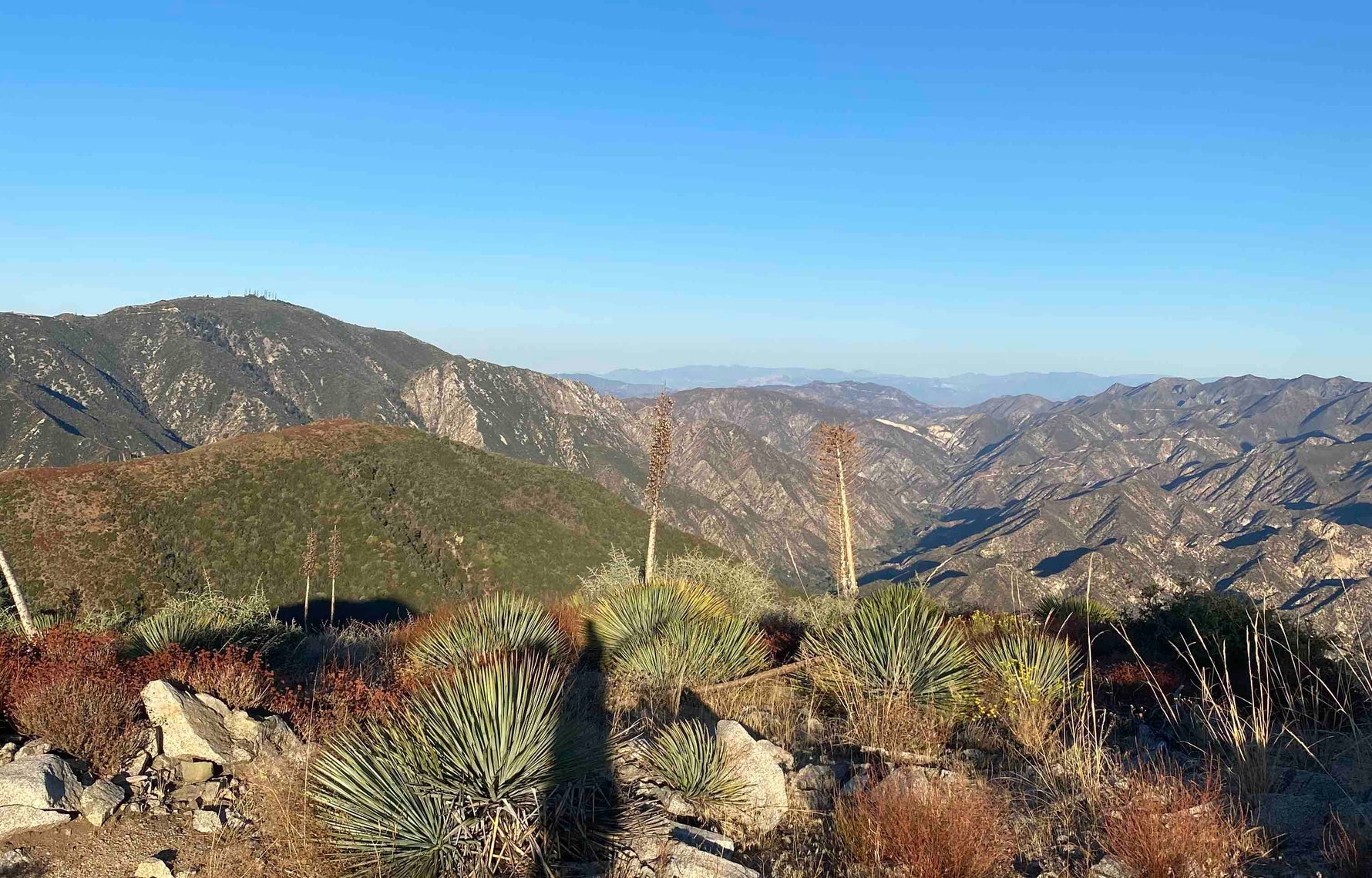How 20 Minutes Outside Can Shift Your Mood