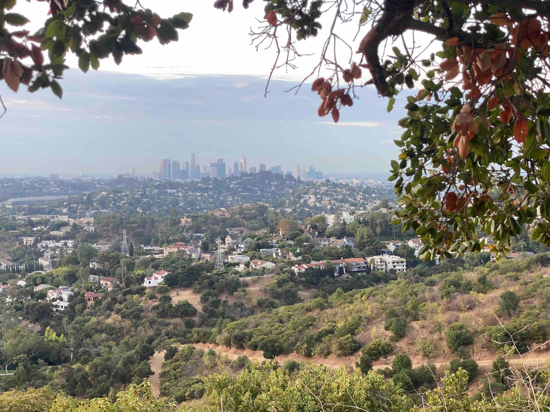 5 Hidden Trail Runs Near LA That Locals Swear By